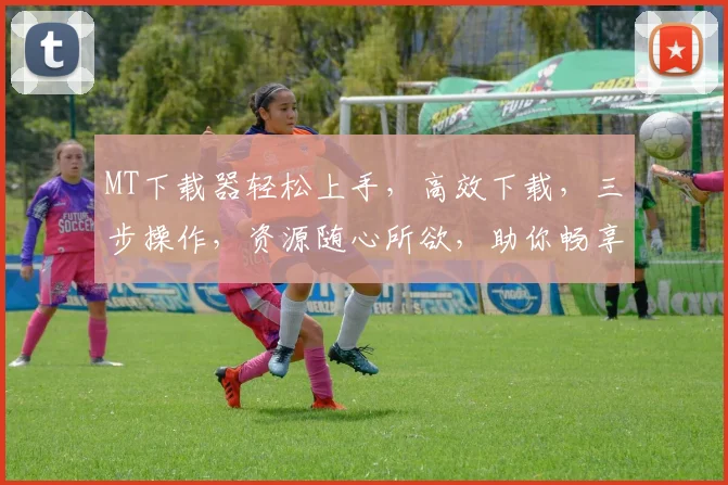 MT下载器轻松上手，高效下载，三步操作，资源随心所欲，助你畅享网络世界。