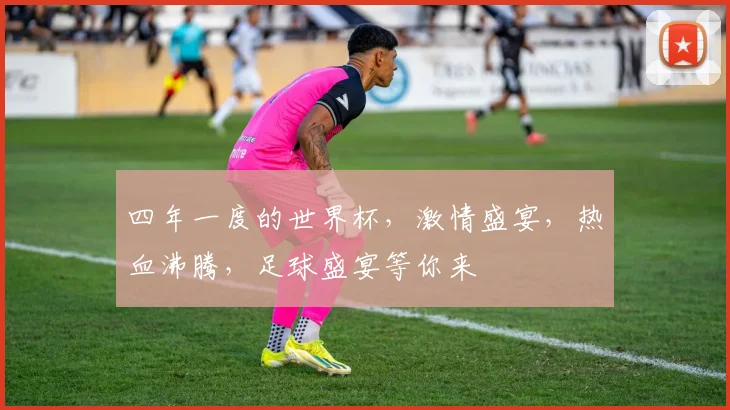 四年一度的世界杯，激情盛宴，热血沸腾，足球盛宴等你来