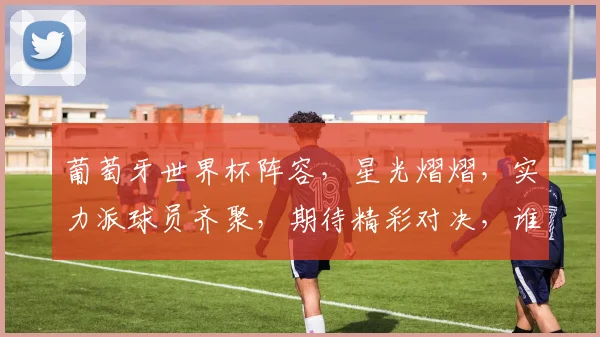 葡萄牙世界杯阵容，星光熠熠，实力派球员齐聚，期待精彩对决，谁将脱颖而出