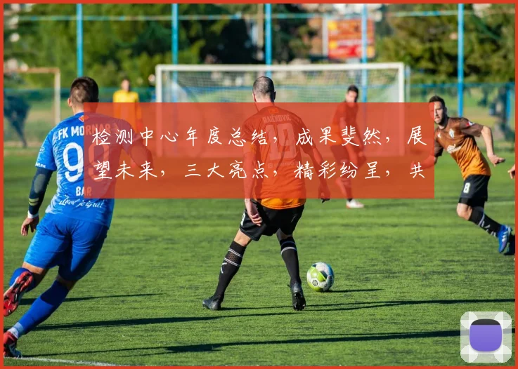 检测中心年度总结，成果斐然，展望未来，三大亮点，精彩纷呈，共谋发展。